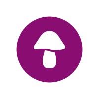 shroomworks Coupons and Promo Code