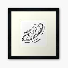 Funny Medical Memes Wall Art | Redbubble