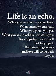 Life Is An Echo Brave Quotes Life Quotes True Quotes