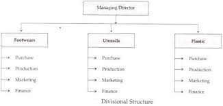 Organisational Structure Functional Structure And
