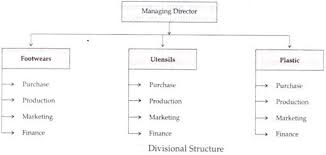 organisational structure functional structure and