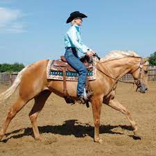 Make a statement around the stable or in town with a modern pair of cowboy or cowgirl boots, perfect for work or everyday wear. How To Stay On A Horse Horse Rider