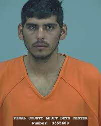 On Wednesday, October 26th, 2016 at 9:13 a.m. a Pinal County Sheriff's  Deputy attempted to stop a 2003 Buick sports utility vehicle in the area of  Ralston and Mockingbird Road for speeding.