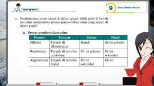 2013 revisi 2017 jawaban ipa kelas 8 halaman 204 206 kunci jawaban ips kelas 8 halaman 78 esai jawaban ipa kelas 8 halaman 102 103 jawaban ips kelas 8 halaman 133 jawaban download gratis buku pegangan guru dan siswa kelas x xi revisi 2014. Jawaban Ipa Kelas 8 Halaman 99 103 Ilmu Link