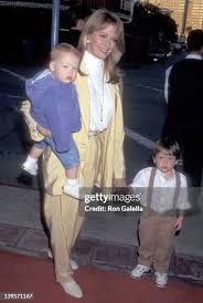 92 Aristocats Stock Photos, High-Res Pictures, and Images