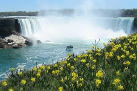 Doubletree by hilton hotel niagara falls new york is a 3.5 star hotel located at 401 buffalo ave in niagara falls. The Best Niagara Falls Fallsview Hotels At American Horseshoe Falls