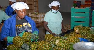 Nbssi Extends Application Deadline For Cap Stimulus Package Prime News Ghana
