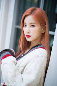 Leonardo Chan Jr. (LheoChan)