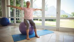 Image result for Geriatric Balance Training