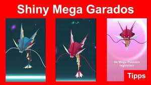 Want to discover art related to mega_garados? Shiny Mega Garados Entwicklung Vergleich Tipps Pokemon Go Deutsch 258 Youtube
