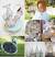 Princess Themed Wedding Dresses