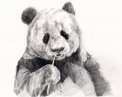 More images for how to draw hard things step by step » Why Is Drawing Hard And What To Do About It To Draw Better Sweet Drawing Blog