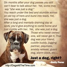  Pin On Darling Doggies