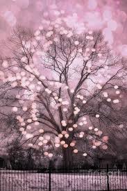 See more of the pink fairy goddess of light on facebook. Surreal Fairytale Pink Nature Trees Fairy Lights Bokeh Nature Decor Pink Holiday Fairy Lights Tree Photograph By Kathy Fornal