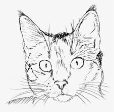 Download transparent cat png for free on pngkey.com. Free Cat Face Black And White Clip Art With No Background Clipartkey