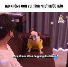 images?q=tbn:ANd9GcQXlo32negr5VKhanytGNkMbSL6AGr7q6FyYA&s