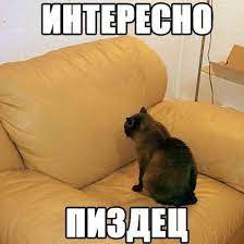 пиздец как интересно :: котэ (прикольные картинки с кошками) / смешные  картинки и другие приколы: комиксы, гиф анимация, видео, лучший  интеллектуальный юмор.