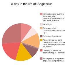 saggitarius pie chart sagittarius astrology sagittarius