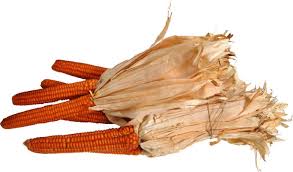 Ma fa bene o male alla salute? Il Mais Le Proprieta Benefiche Le Qualita Di Mais E I Suo Utilizzi