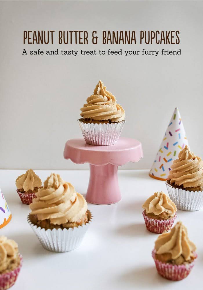 Cup Cake For Furry Friend product image