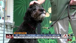 Fda Flea And Tick Medicine Could Cause Seizures Youtube
