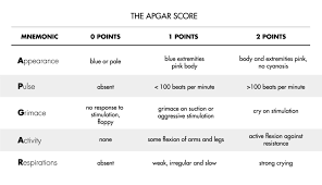 The Apgar Score Photo From Medzchool Health