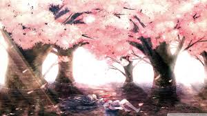 Here you can get the best madoka magica wallpapers for your desktop and mobile devices. Aesthetic Pink Background 2048 X 1152 Novocom Top