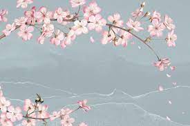 Pink Cherry Blossom Flower Branch Bouquet Border On Blue Gray Background Free Image By Cherry Blossom Wallpaper Floral Cards Design Cherry Blossom Background