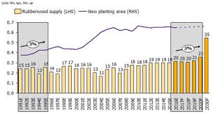 Thailands Rubberwood Industry A New Rising Star Economic