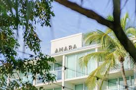 Image result for Faroa amara