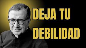 Entrevista a Fr. Eliseo González López, OAR sobre Mons. Alfonso Gallegos