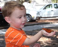 Explore The Outdoors Festival at Live Oak Landing a huge success