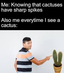 It will be published if it complies with the content rules and our moderators approve my favorite teacher had a cactus in his classroom once. I Mean Not Wrong Succulents