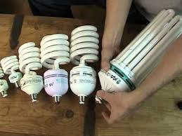 Fluorescents are far more useful than incandescents. Cfl Bulbs Kelvin Rating Wattage How Close Do I Put The Lights To The Plants How Much Is Too Much How Much D Plant Lighting Hydroponics Diy Aquaponics Fish