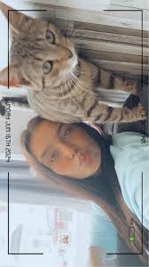 Is this anyone dog in Fleetwood as he at mine BC he almost got ran over