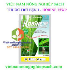 Hobine 75WP