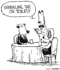 Pin By Abbey Animal Hospital On Vet Comics Dog Jokes Dog Comics Funny Cartoon Pictures