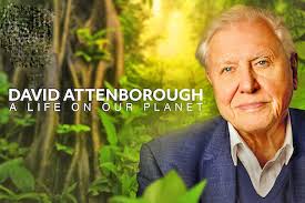 Borneo Bulletin Online