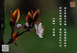 Manage your video collection and share your thoughts. é©¬æ¥è¥¿äºšæ™®è´¤å­¦å ‚ å°½æ—¥å¯»æ˜¥ä¸è§æ˜¥æ‰Žè¥¿æŒæž—yesterday å°½æ—¥å¯»æ˜¥ä¸è§æ˜¥ èŠ'éž‹è¸éé™‡å¤´äº' Facebook