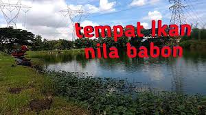 Danau Tempat Mancing Nila Di Tangerang Youtube