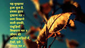 Poem Hindi Kavita Flower Life Lastdays Iphone Wallpaper Photography Wallpaper Nature Flowers Iphone Photography