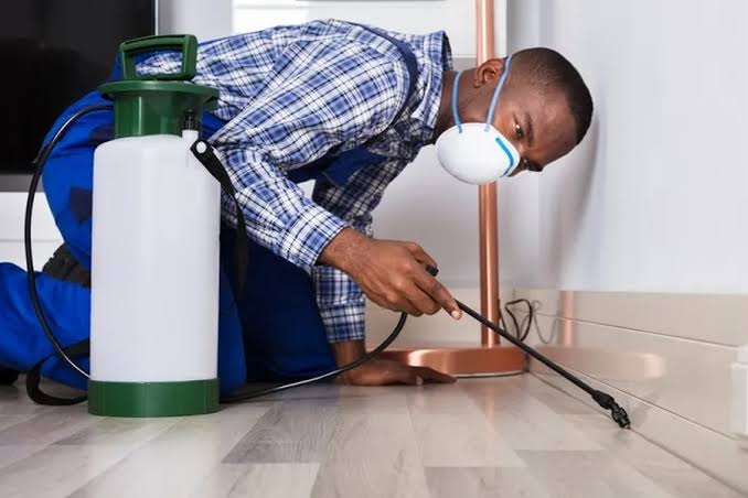 Cockroach Control