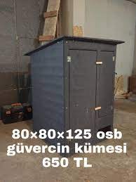 guvercin kumesi kumes istanbul