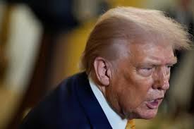 Por que terras raras e minerais do Brasil são cobiçados por Trump