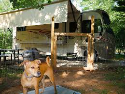 Check spelling or type a new query. Staying At 4 Paws Kingdom Campground Dog Retreat Winnebago
