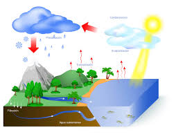 Definicion De Ciclo Del Agua Que Es Y Concepto