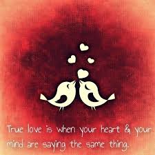 Image result for love images