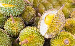 Decided should try anyway since came all the way here. Durian Yields In Kuantan Remain Low The Culprit Bauxite Mining Clean Malaysia