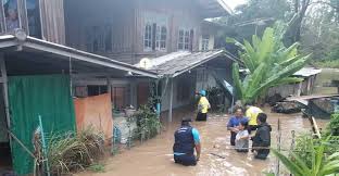 Gistda เปิดภาพดาวเทียม น้ำท่วมเมืองคอน จมบาล 23 อำเภอ และพบว่าน้ำท่วมกินพื้นที่ 4 จังหวัดภาคใต้ กว่า 3 แสนไร่. à¸™ à¸³à¸— à¸§à¸¡à¸›à¸²à¸à¸Š à¸­à¸‡à¸¢ à¸‡à¸­ à¸§à¸¡ Innnews