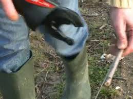 Infaco L Attacheuse Electrique A3m V2 Fr Video Dailymotion